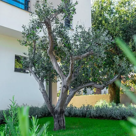 Tatil Evi Four-bedroom In